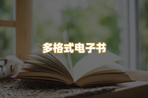 多格式电子书